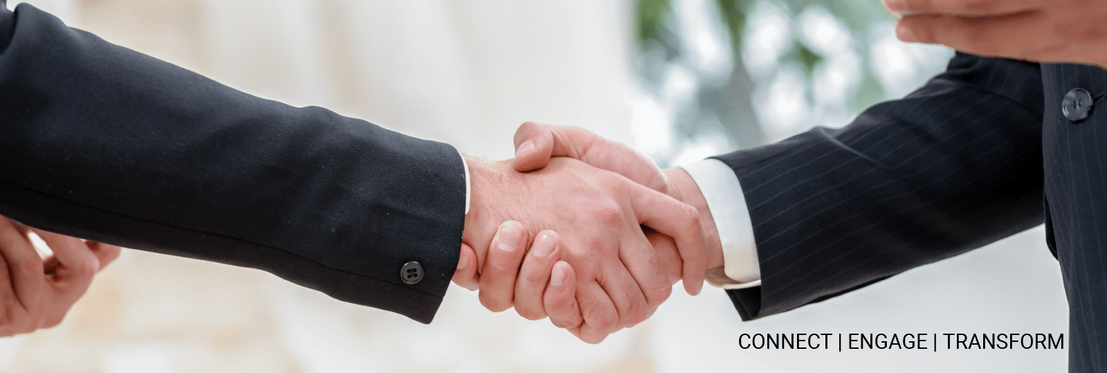 ivredge partner program